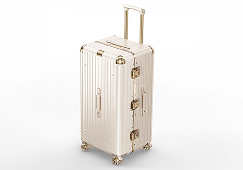 Design Awards Winner - Dongguan Zhanjinshou Trading Co., Ltd. - dr2560